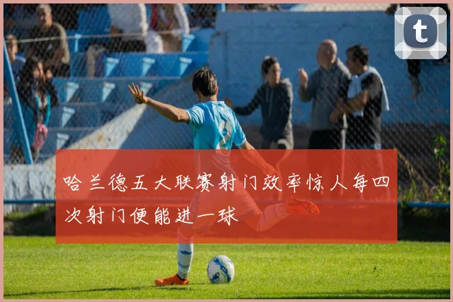 哈兰德五大联赛射门效率惊人每四次射门便能进一球
