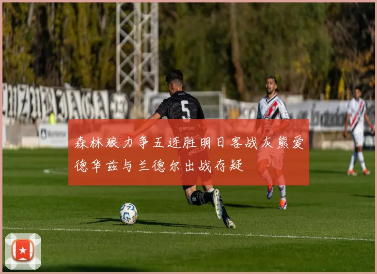 森林狼力争五连胜明日客战灰熊爱德华兹与兰德尔出战存疑