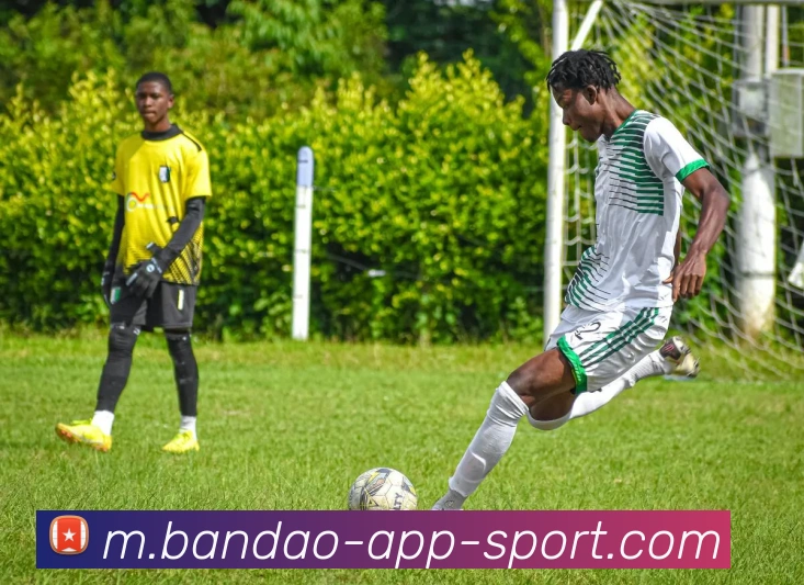 半岛体育平台生态图